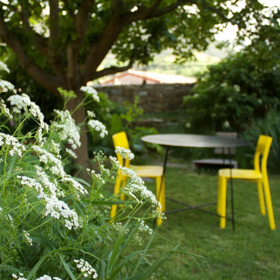 Cal Calsot Casa Rural "Adults Only" Montellá Eksteriør billede